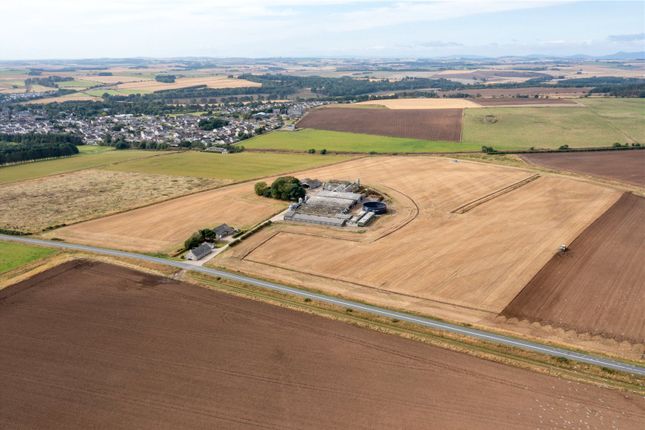 Thumbnail Land for sale in Yonderton Farm, Ellon, Aberdeenshire