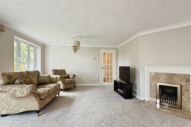 6, Badger Park, Minehead photo 3