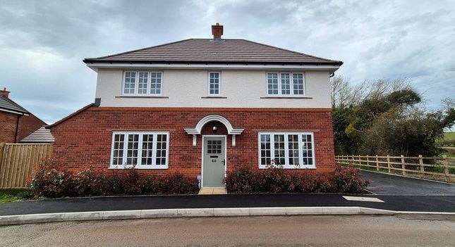 Thumbnail Detached house to rent in Hedgerow Way, Holmer, Hereford