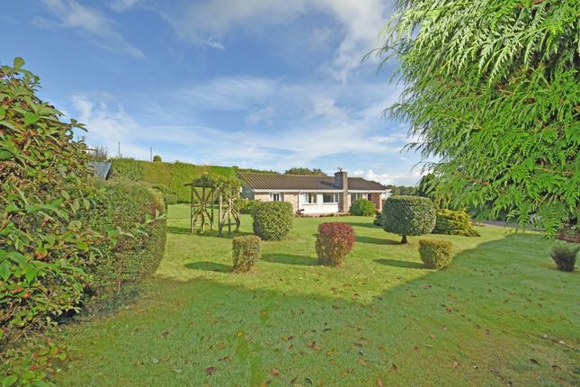 Thumbnail Detached bungalow for sale in Lower Town, Sampford Peverell, Tiverton