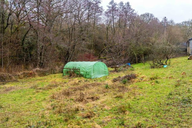 Upper Llaneon, Llandrindod Wells photo 2