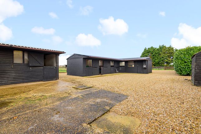 MEADOW VIEW, Hallgate, Spalding photo 2