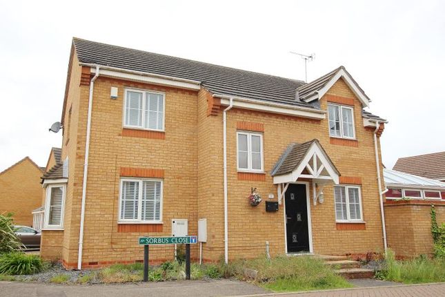 Thumbnail Detached house to rent in Sorbus Close, Hampton Hargate, Peterborough, Cambridgeshire