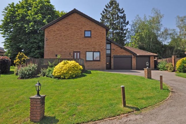 Detached house for sale in Exclusive Location, The Rosegarden, Newport