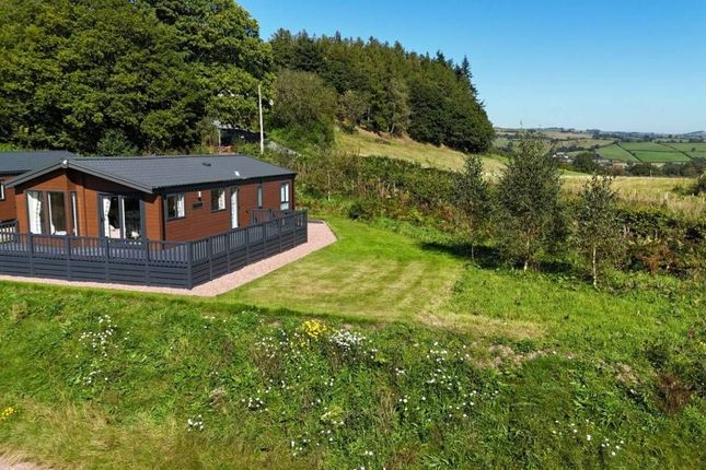 50, Red Kite Touring and Lodge Park, Llanidloes photo 4