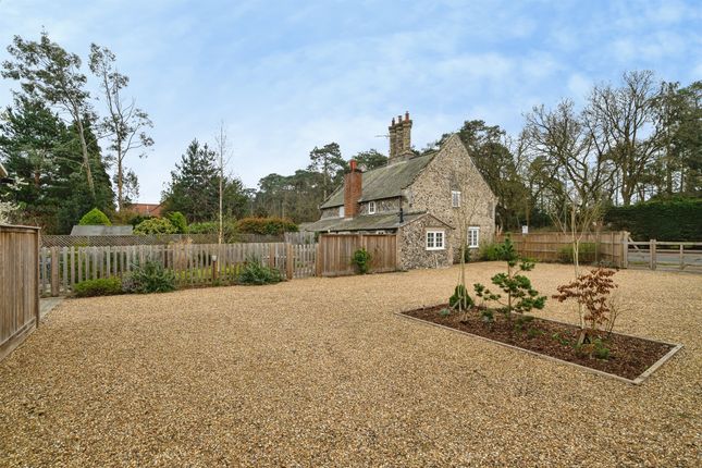 81, Brandon Road, Thetford photo 3