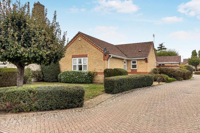 Tlc_E33d8Fa8-720E-48Df-B67E-ce1c3E09Fcc1_A23Fe0F.J