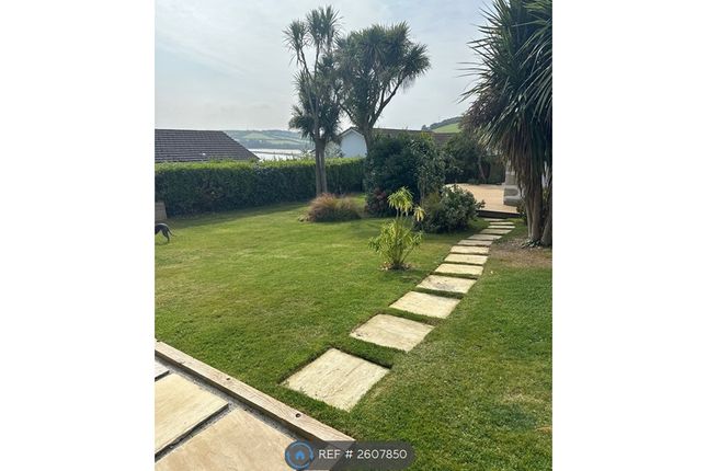 Back Garden