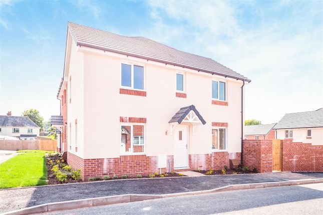Thumbnail Semi-detached house to rent in Chapel Way, Axminster
