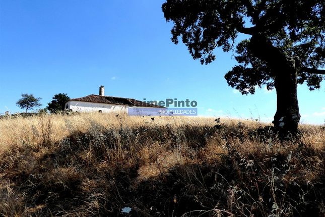 Farm for sale in 103 0000 Sq. m. Of Land For Cattle And Cereals, Portugal