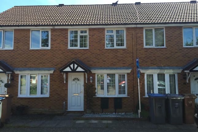 Thumbnail Terraced house to rent in Scopes Road, Ipswich