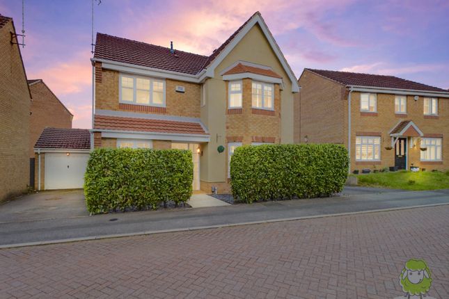 Thumbnail Detached house for sale in Sapphire Street, Mansfield