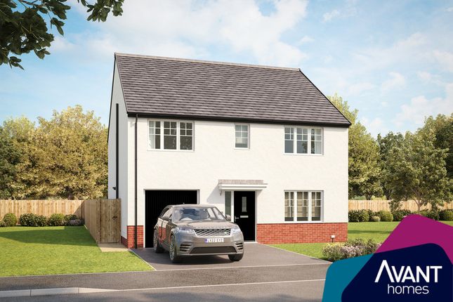 Thumbnail Detached house for sale in "The Rothesay" at Sycamore Drive, Penicuik