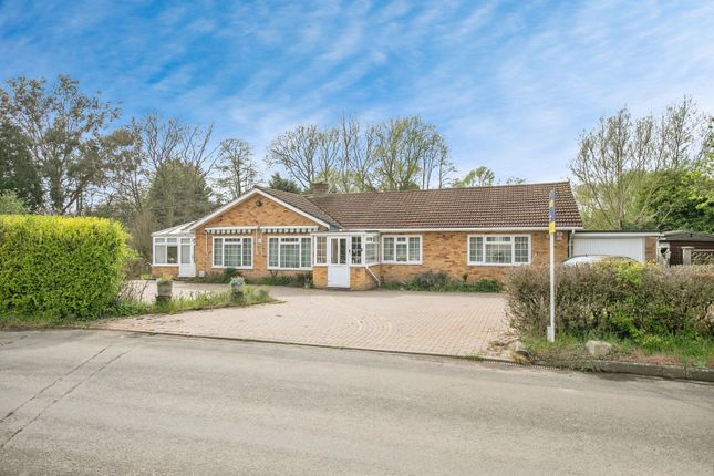 Thumbnail Bungalow for sale in St. Marys Road, Creeting St. Mary, Ipswich