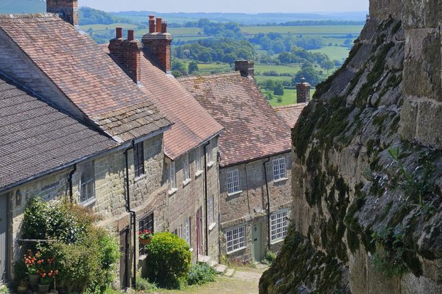 Thumbnail Cottage to rent in Gold Hill, Shaftesbury, Dorset
