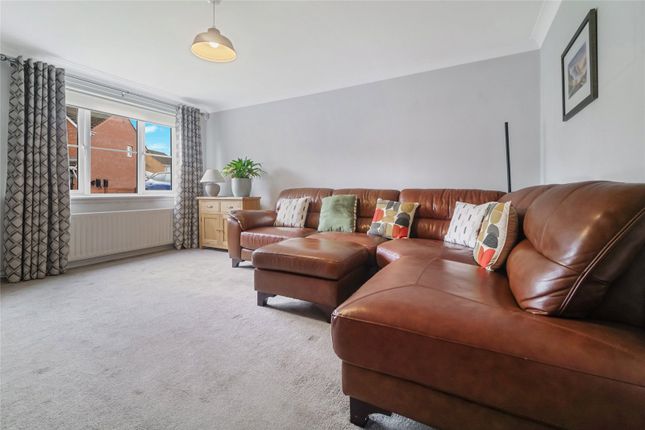 Dalziel Grove, Glasgow photo 4