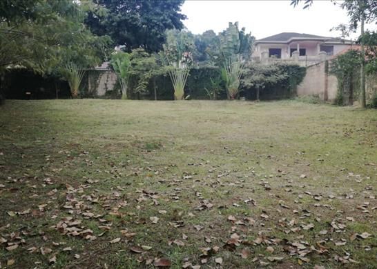 Property For Sale In Uganda Zoopla