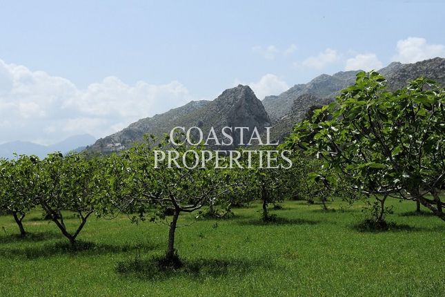 Country house for sale in Pollensa, Majorca, Balearic Islands, Spain