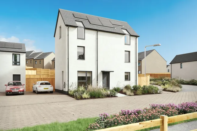 Pobl Living - Gwynfaen
