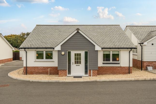 1365784-1-68F200E6B1973