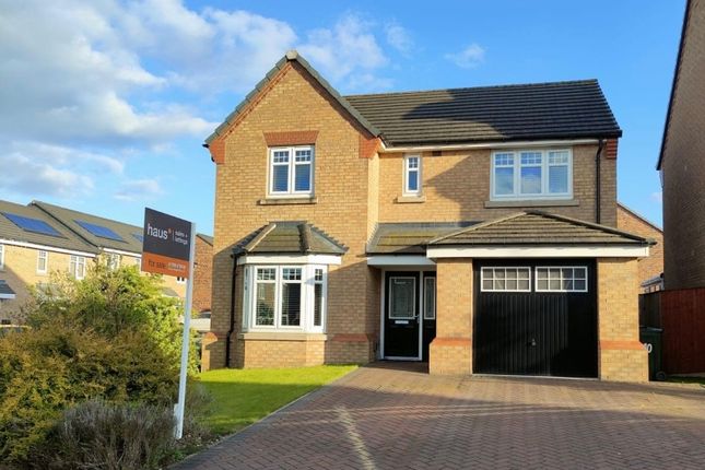 Thumbnail Detached house for sale in Hazelwood Way, Waverley, Rotherham