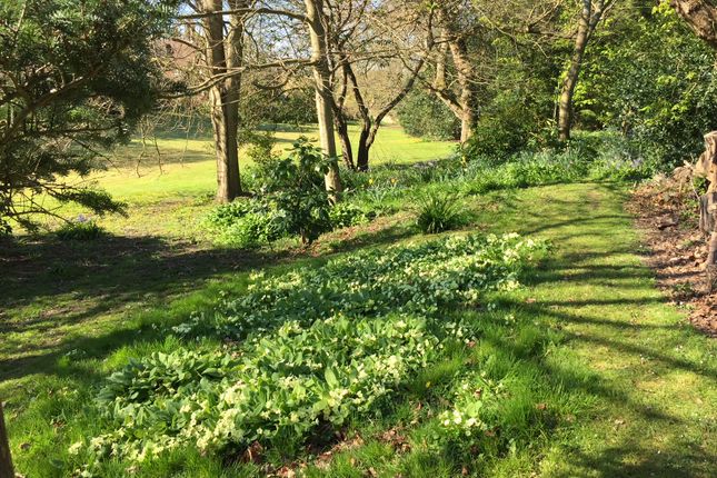 Primrose Bank