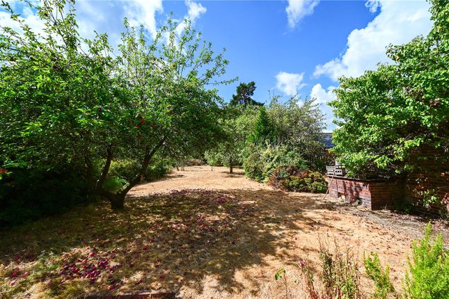 24, Courtmoor Avenue, Hampshire photo 2