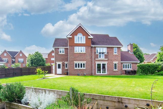 Thumbnail Detached house to rent in Hampstead Drive, Weston, Crewe, Cheshire