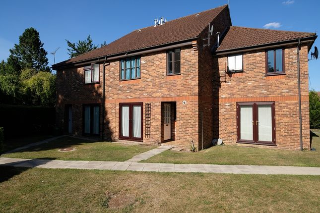 Terraced house to rent in Vicarage Road, Marchwood