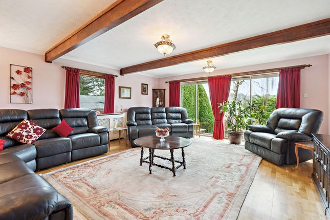 7 Upper Glen Road, Stirling photo 3