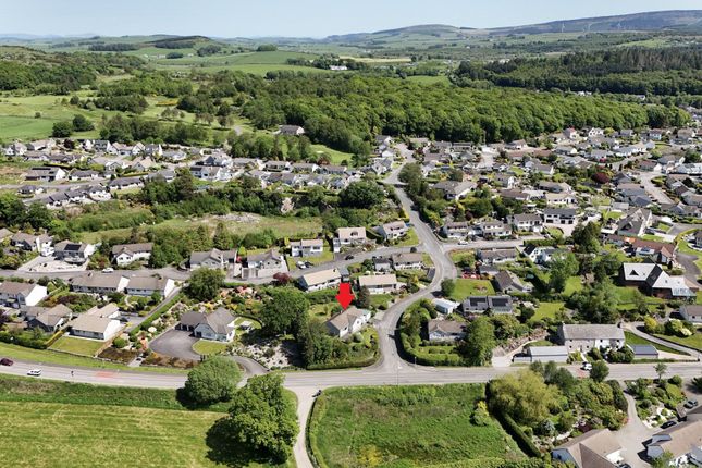 1, Maxwell Park, Dalbeattie photo 4