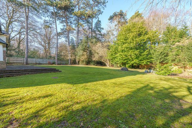 Watergate, The Warren, Tadworth photo 4