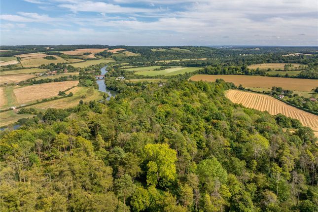 Lot 2 - Woodland