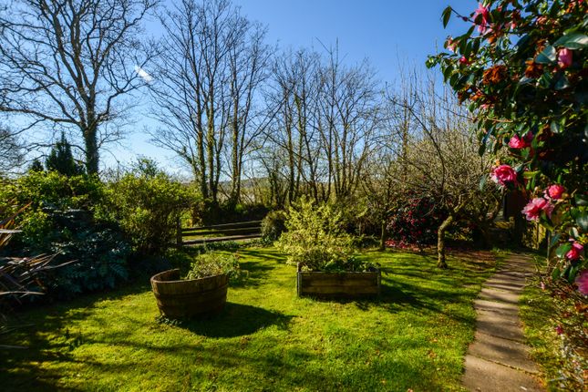 Watermeadows, Halgavor Lane, Bodmin photo 4