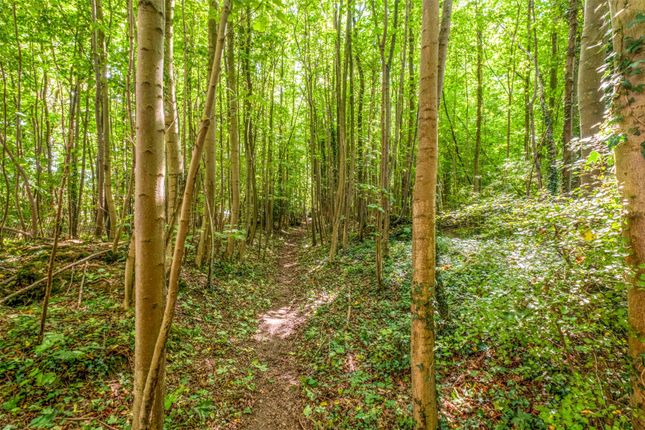 Woodland