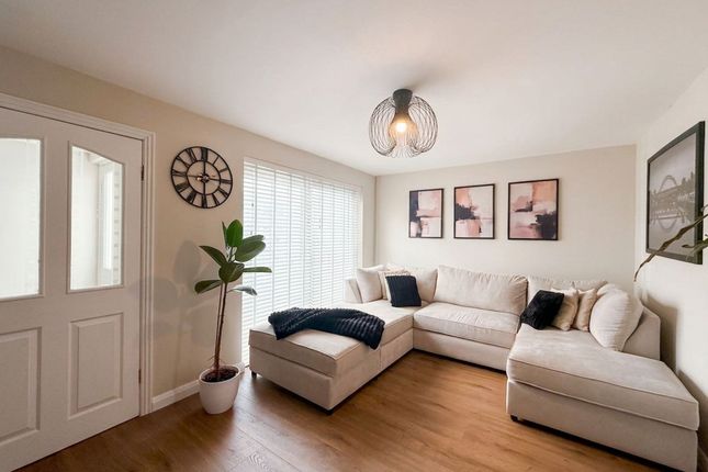45 Cranesville, Gateshead photo 2