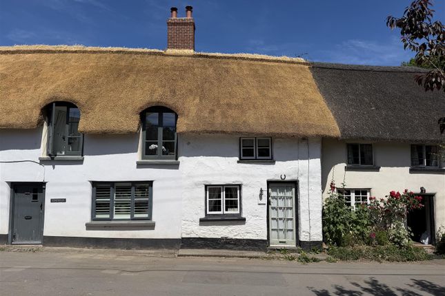 April Cottage, South Molton photo 2