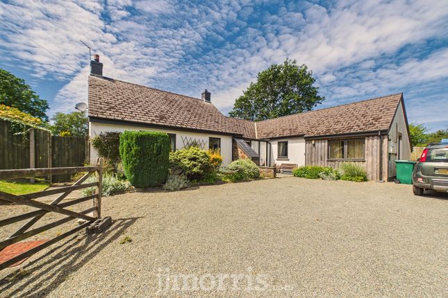 Ystrad Fflur Long Street, Newport photo 2
