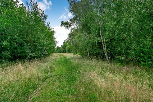 Land for sale in Pool Green Woods, Tatenhill, Burton-On-Trent, Staffordshire