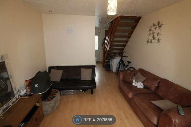 Terraced house to rent in Riversdale, Llandaff, Cardiff