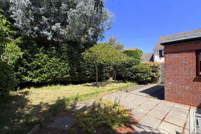 24, Cotswold Close, Eastbourne photo 4