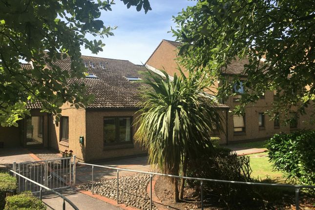 Thumbnail Studio to rent in Dalriada Court, The Roading, Campbeltown