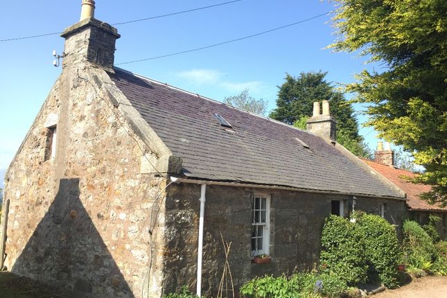 Grange, St Andrews, Fife, KY16 8LJ, Fife photo 2