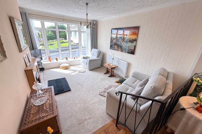 47, Llanelli photo 5