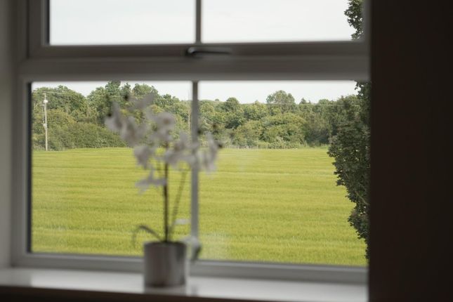 Plot 13, New Road, Driffield photo 3