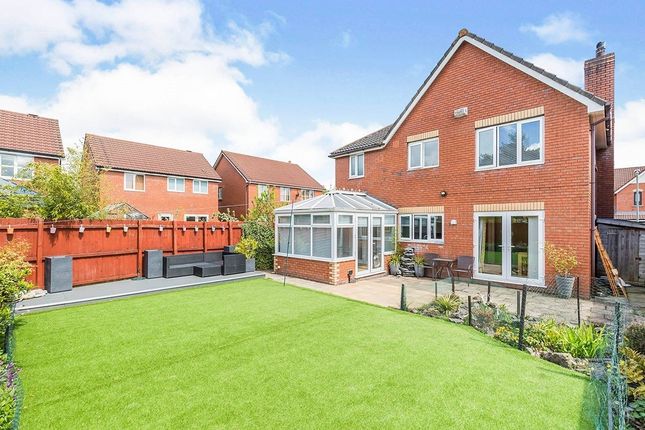 Thumbnail Detached house to rent in Heatherleigh, Leyland