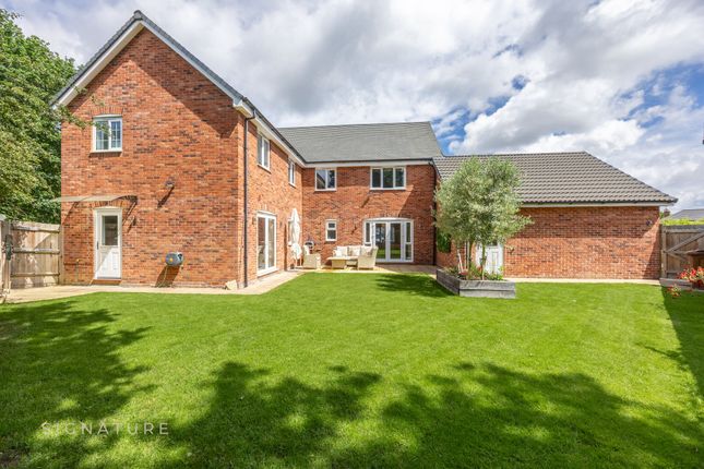 2 Snowdrop Avenue, Norwich photo 2