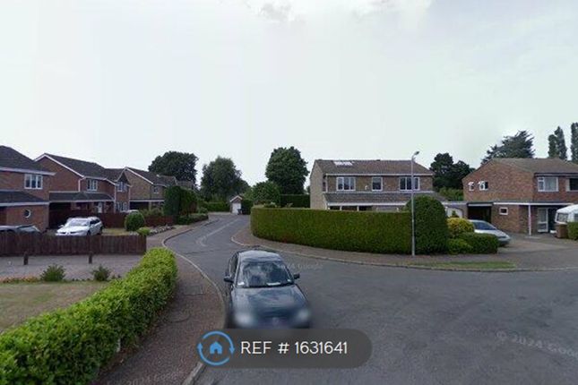 Thumbnail Room to rent in Cypress Close, Taverham, Norwich