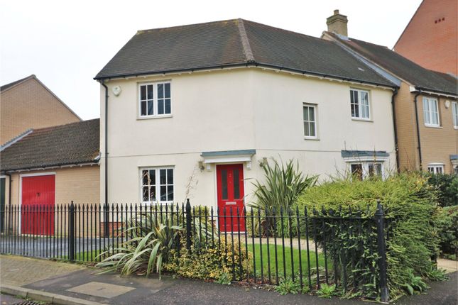 Thumbnail Link-detached house for sale in Rose Allen Avenue, Colchester, Essex