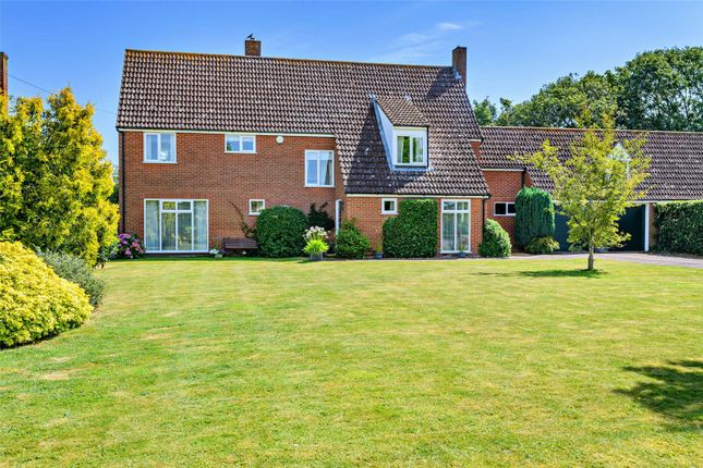 Thumbnail Detached house for sale in The Street, Tibenham, Norwich, Norfolk